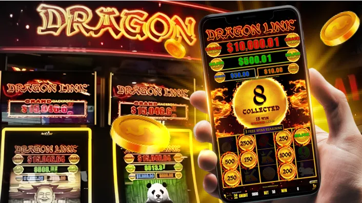 JiliPark 311 Poker Variant